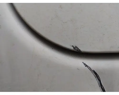 FREIGHTLINER CASCADIA 126 DOOR, COMPARTMENT