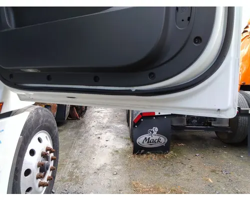 FREIGHTLINER CASCADIA 126 DOOR ASSEMBLY, FRONT