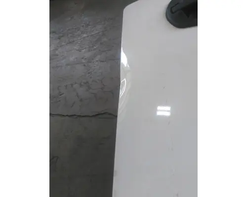 FREIGHTLINER CASCADIA 126 DOOR ASSEMBLY, FRONT