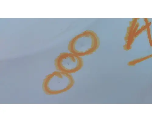 FREIGHTLINER CASCADIA 126 DOOR ASSEMBLY, FRONT