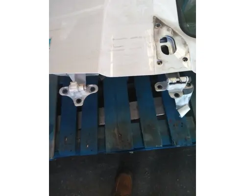 FREIGHTLINER CASCADIA 126 DOOR ASSEMBLY, FRONT