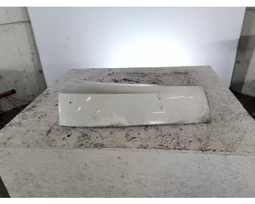 FREIGHTLINER CASCADIA 126 FENDER EXTENSION