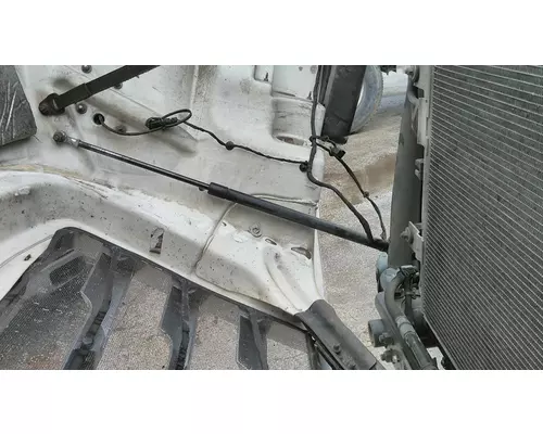 FREIGHTLINER CASCADIA 126 HOOD SHOCKSTRUT