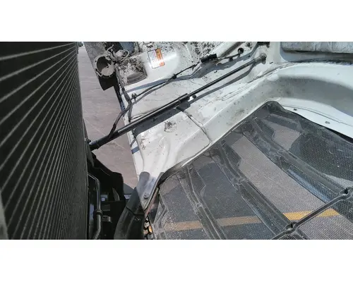 FREIGHTLINER CASCADIA 126 HOOD SHOCKSTRUT