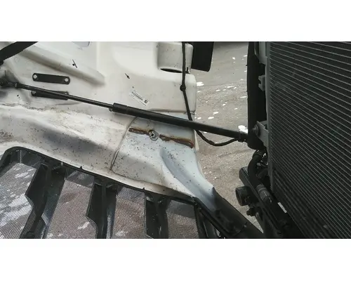 FREIGHTLINER CASCADIA 126 HOOD SHOCKSTRUT