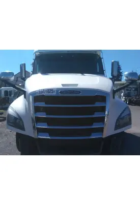 FREIGHTLINER CASCADIA 126 HOOD