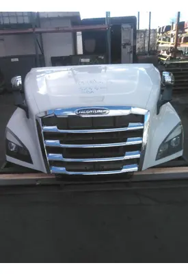 FREIGHTLINER CASCADIA 126 HOOD