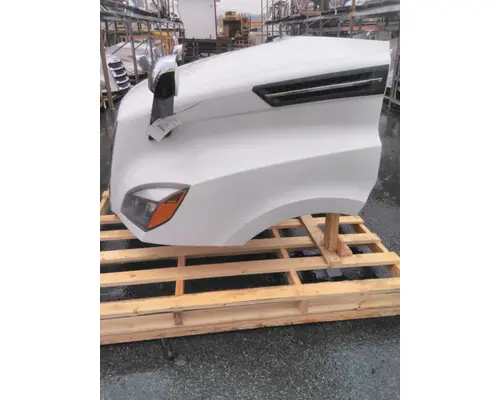 FREIGHTLINER CASCADIA 126 HOOD