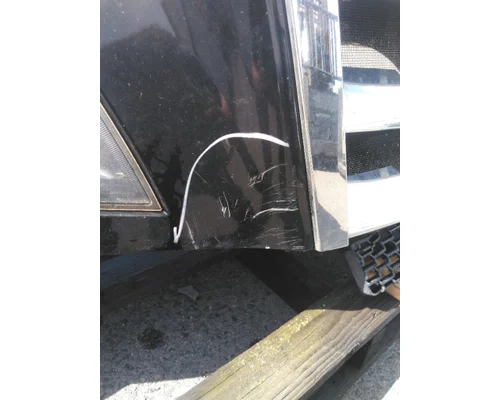 FREIGHTLINER CASCADIA 126 HOOD