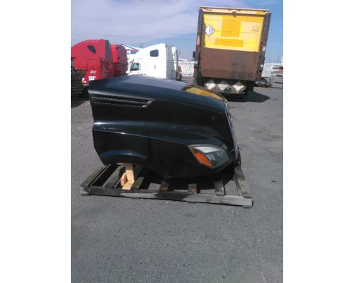 FREIGHTLINER CASCADIA 126 HOOD