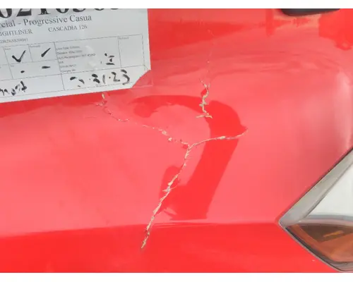 FREIGHTLINER CASCADIA 126 HOOD
