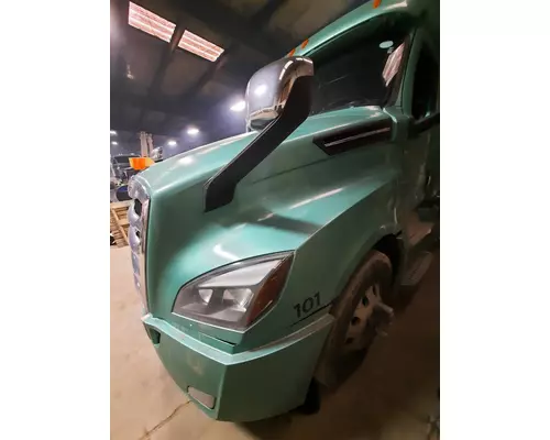 FREIGHTLINER CASCADIA 126 HOOD