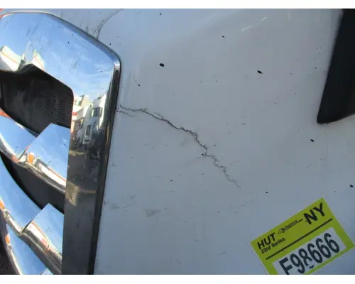 FREIGHTLINER CASCADIA 126 HOOD