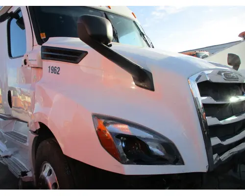 FREIGHTLINER CASCADIA 126 HOOD