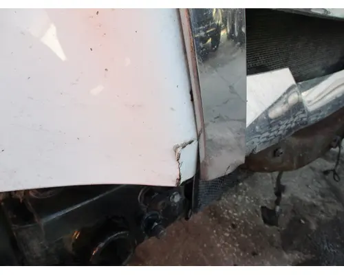 FREIGHTLINER CASCADIA 126 HOOD