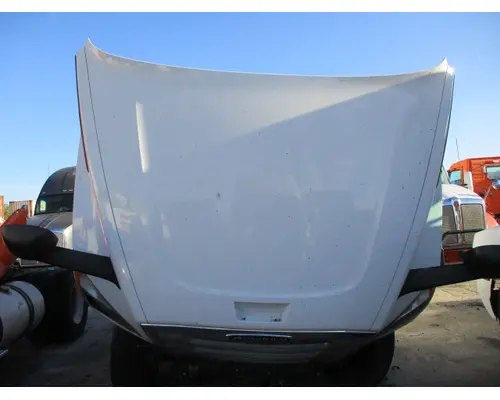 FREIGHTLINER CASCADIA 126 HOOD