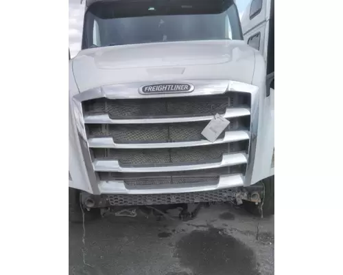 FREIGHTLINER CASCADIA 126 HOOD