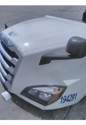 FREIGHTLINER CASCADIA 126 HOOD