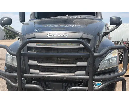 FREIGHTLINER CASCADIA 126 HOOD