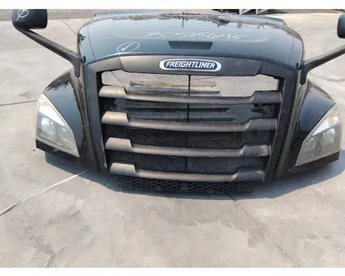FREIGHTLINER CASCADIA 126 HOOD