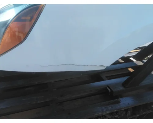 FREIGHTLINER CASCADIA 126 HOOD