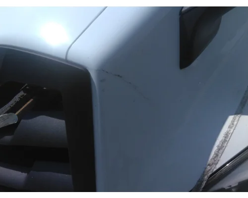 FREIGHTLINER CASCADIA 126 HOOD