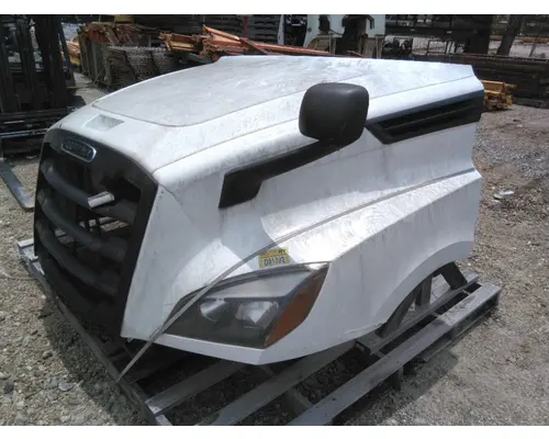 FREIGHTLINER CASCADIA 126 HOOD