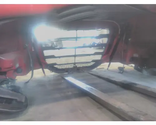 FREIGHTLINER CASCADIA 126 HOOD