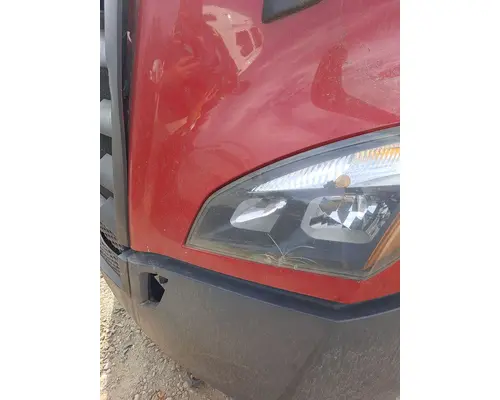 FREIGHTLINER CASCADIA 126 HOOD