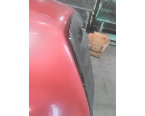 FREIGHTLINER CASCADIA 126 HOOD