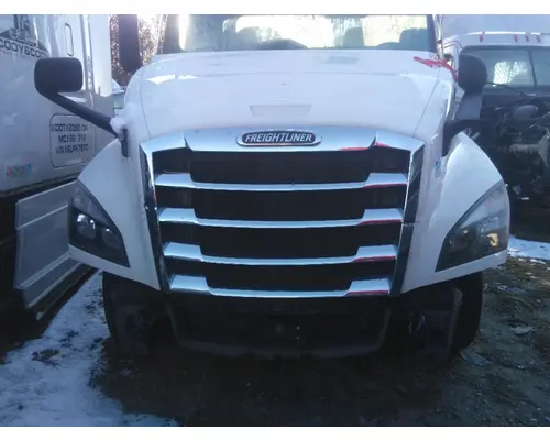 FREIGHTLINER CASCADIA 126 HOOD