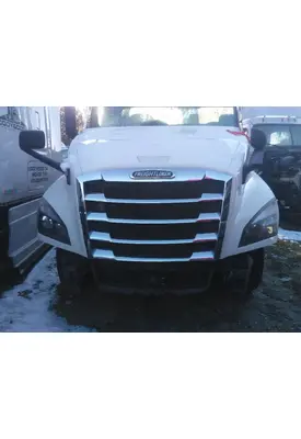 FREIGHTLINER CASCADIA 126 HOOD
