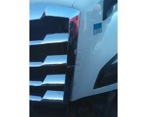 FREIGHTLINER CASCADIA 126 HOOD