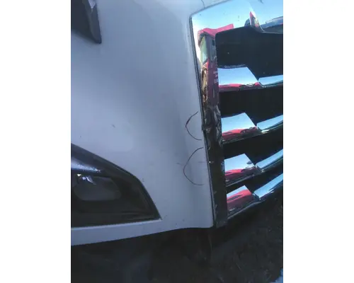 FREIGHTLINER CASCADIA 126 HOOD