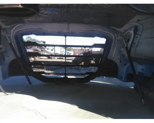 FREIGHTLINER CASCADIA 126 HOOD