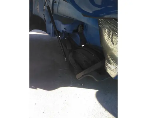 FREIGHTLINER CASCADIA 126 HOOD