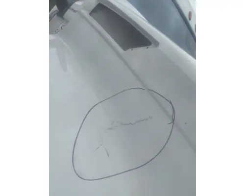 FREIGHTLINER CASCADIA 126 HOOD