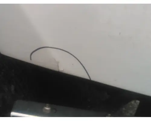 FREIGHTLINER CASCADIA 126 HOOD