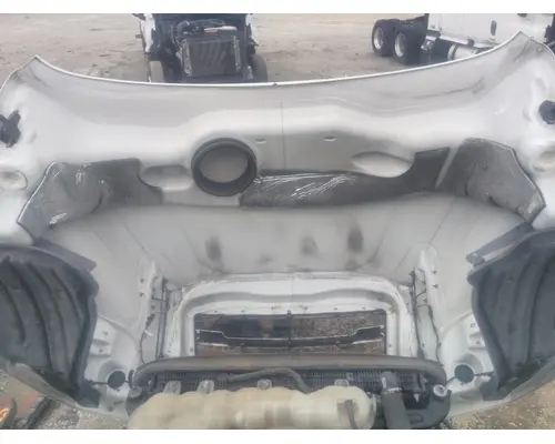 FREIGHTLINER CASCADIA 126 HOOD
