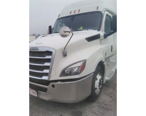 FREIGHTLINER CASCADIA 126 HOOD