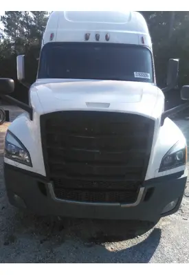 FREIGHTLINER CASCADIA 126 HOOD