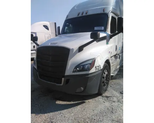 FREIGHTLINER CASCADIA 126 HOOD