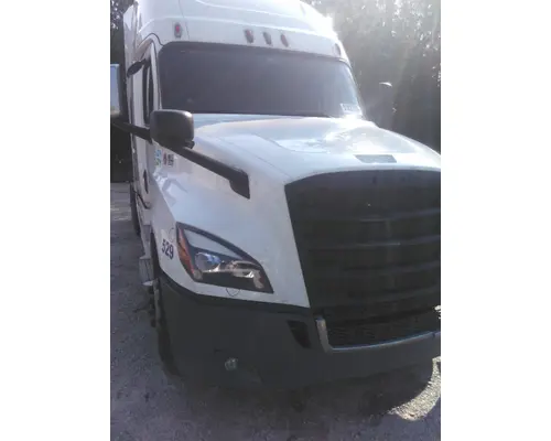 FREIGHTLINER CASCADIA 126 HOOD