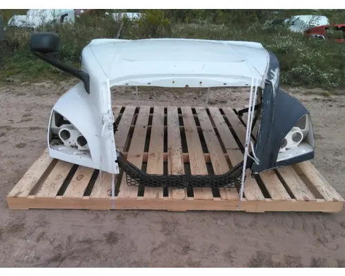 FREIGHTLINER CASCADIA 126 HOOD
