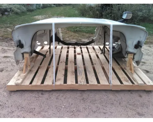 FREIGHTLINER CASCADIA 126 HOOD