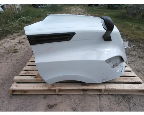 FREIGHTLINER CASCADIA 126 HOOD