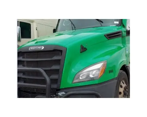 FREIGHTLINER CASCADIA 126 HOOD