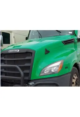 FREIGHTLINER CASCADIA 126 HOOD