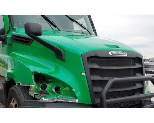FREIGHTLINER CASCADIA 126 HOOD