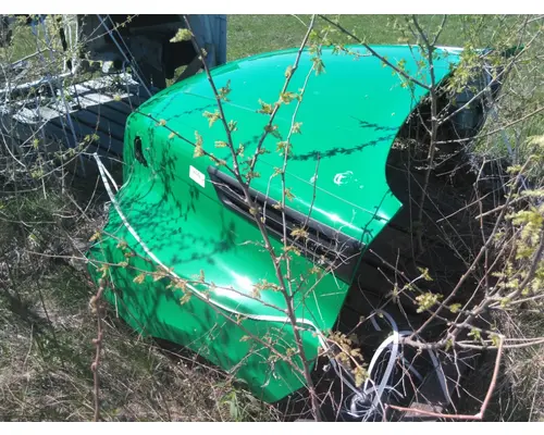 FREIGHTLINER CASCADIA 126 HOOD